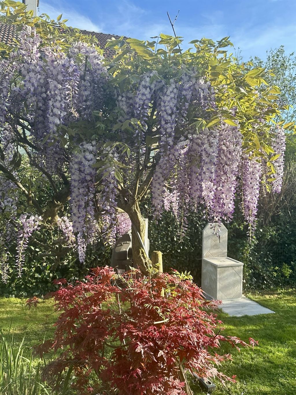 Garten