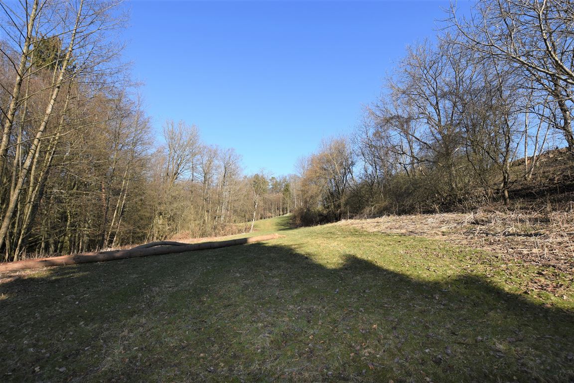 Grundgrenze Süden Wald