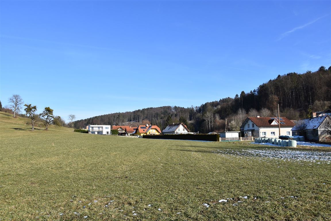 Blick Richtung Morgensonne