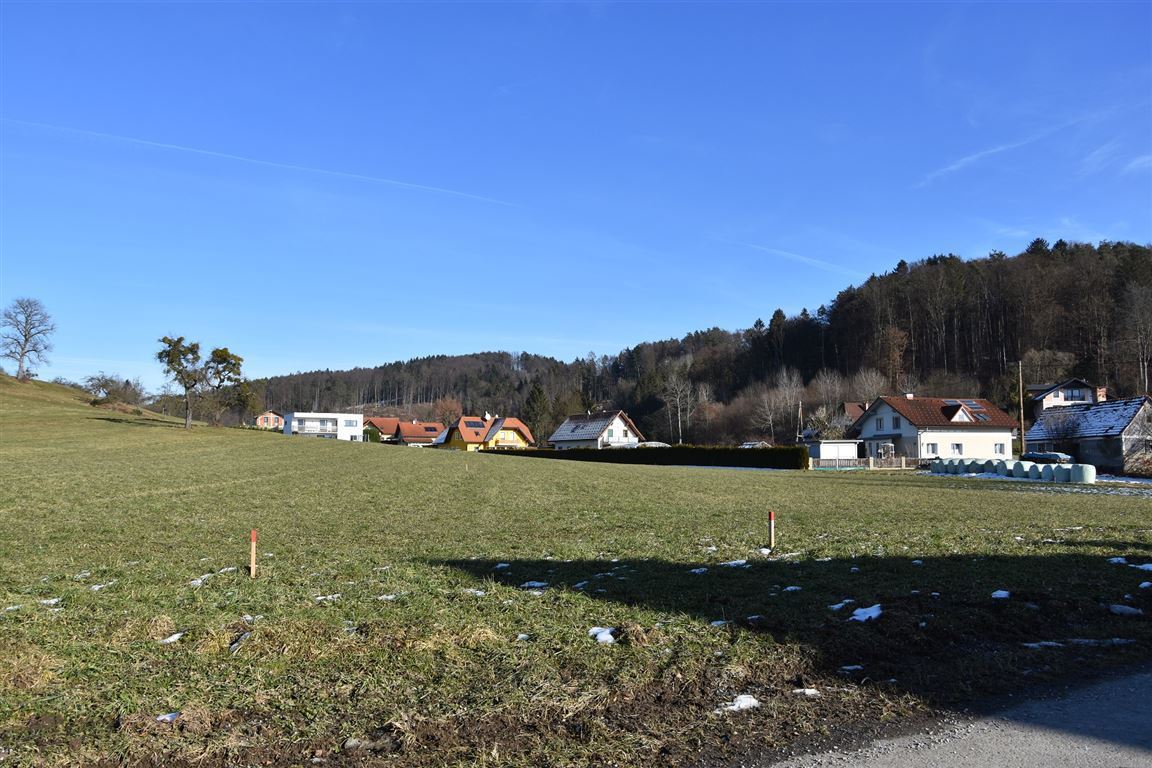 neue Zufahrtsstrasse